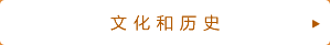 文化和历史