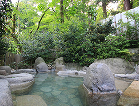 Murasugi Hot Spring